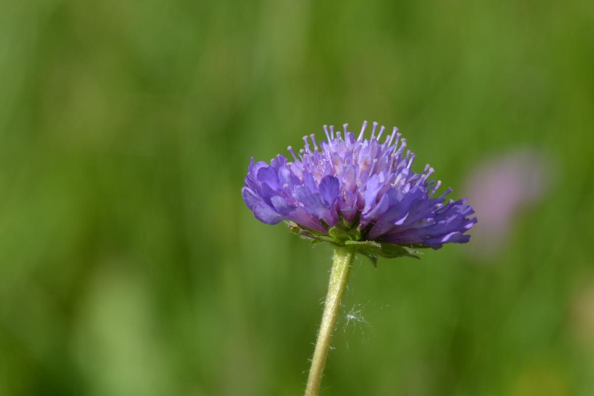 Zunerhof 31.05.2019